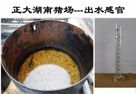 500头以上猪场要征环保税!2018年1月1日实行!