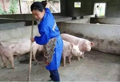 看欧美等发达国家的大型猪场是如何处理猪粪尿污水问题的？