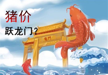 一遇风雨便化龙?猪价能涨到什么时候