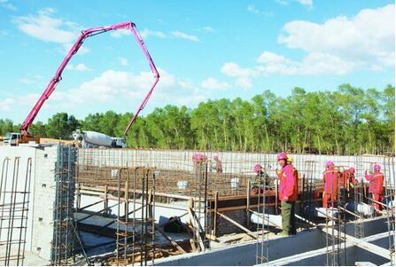 泰来县生猪原种核心场项目正紧张施工建设