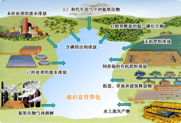 這才是養豬的終極模式，不照做的養豬場(chǎng)可能會(huì )倒閉！
