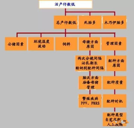 这些可以增加母猪窝产仔数的方式,你get到几个?