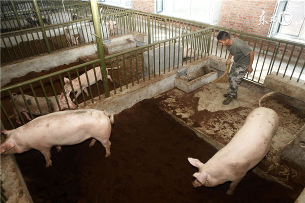 加强垫料管理，用干燥，松软，清洁的垫料保证猪的休息，将垫料区域猪的活动区分开，这样有利于垃圾的清扫