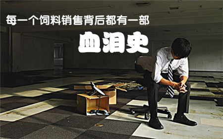 临沂丰大饲料——“打造优质饲料,营造美好生活”