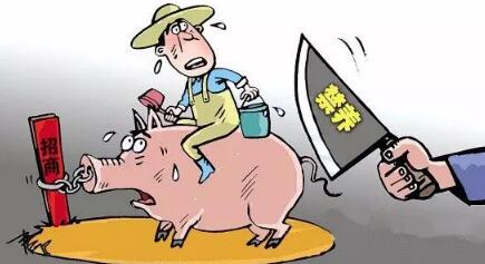 猪农的心声:养猪真会污染环境吗?不养猪该何去