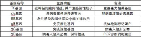 猪病动态早知道:猪伪狂犬病的现状