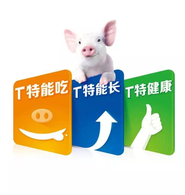 TTT乳猪教槽料：特能吃  特能长  特健康。