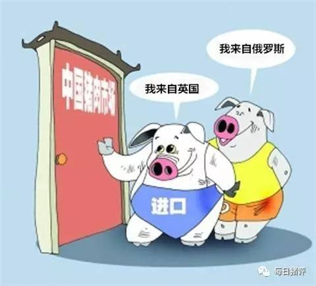 需求回暖,7月进口不及去年同期一半,猪价要涨了?