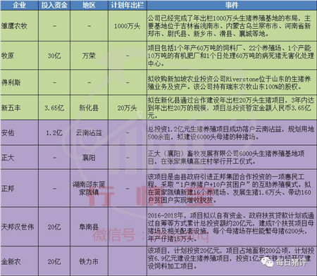 需求回暖,7月进口不及去年同期一半,猪价要涨了?