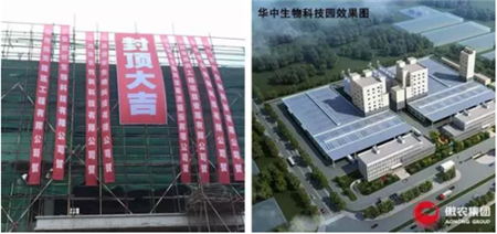 傲农集团华中生物科技园工程主体结构顺利封顶