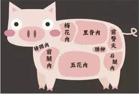   猪肉部位分布图 >