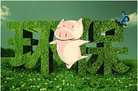 环保:环保一旦搞好了, 畜禽养殖会更有信心