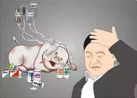 六大关键点,净化狂犬伪表情决定共识-猪病预达成成败的猪场包图片