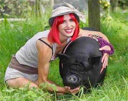 红发女子和她的猪：刚开始没有想到，可是后来依旧生活的很开心