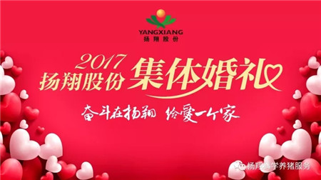 “奋斗在扬翔，给爱一个家”——扬翔股份2017年集体婚礼今天举行啦~