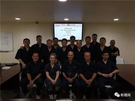 母猪群详细记录:不同颜色代表不同情况