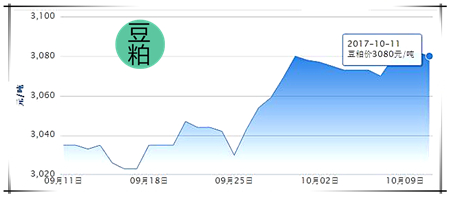 10月11日猪评:猪价必反弹,距离上涨还有多远?
