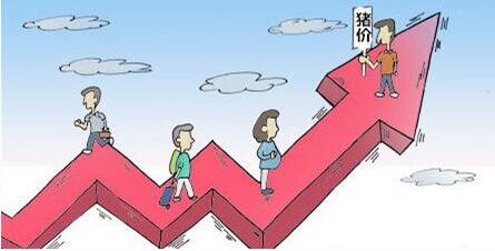 11月中下旬猪价是涨势跌,行内众说纷纭?