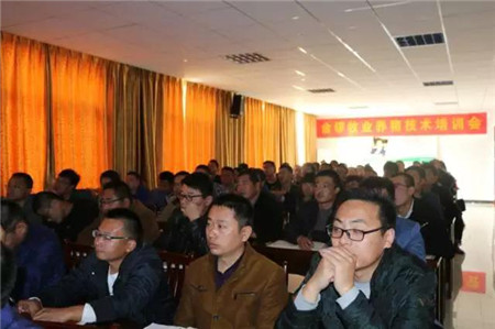 专家走进养猪场,为企业把脉献策 ——西南大学张洪培教授走访金锣集团