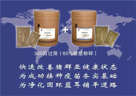 专家走进养猪场,为企业把脉献策 ——西南大学张洪培教授走访金锣集团