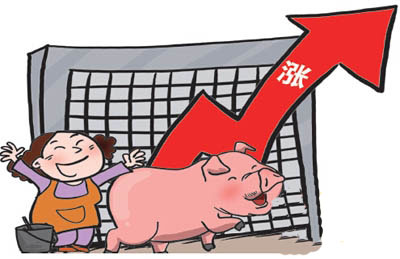 东北领涨 猪价上涨态势已现