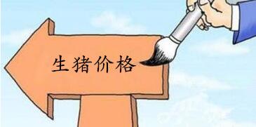 1 猪价小析