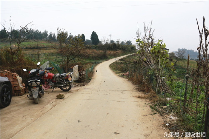 东北农村一个人口粮地多少地_东北农村(3)