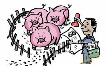 农民养猪一定要领的3个证，否则领不到养殖补贴！