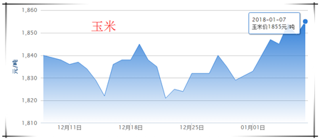 1、生猪价格行情分析 今日全国生猪均价为15.30元/公斤,较昨日猪价上涨0.14元/公斤,较上周猪价上涨0.32元/公斤,涨幅维持在0.01-0.37元/公斤,跌幅维持在0.00-0.20元/公斤。全国只有上海市下跌,其余各省市均出现一定幅度的上涨或持平。 全国猪价走势图 安徽、福建、海南上涨前三 上海市成为唯一下跌地区 全国猪价排行 各省份猪价涨跌表 【后市分析】:今日全国报价地区中,外三元均价最高省份为浙江省16.03元/公斤,最低省份为新疆14.10元/公斤。最近一段时间,受到大雪影响生猪的调运,加之养殖户出现惜售情绪,市场猪源供应量偏紧,收猪难度增加,屠宰企业被迫上调价格,全国绝大部分省份猪价出现上涨。猪价经历半年之后再回“八时代”。猪价距离春节模式已经不远,即将进入腊月春节行情,假日消费模式对猪价的利好将集中释放。 因此,从短期来说,猪价有望继续保持上涨的势头,但是也要考虑此轮雨雪结束之后,养殖户又将开启出栏模式,到时将出现供需两旺的局面,猪价波动难以避免。因此,短期内建议养殖户做好猪场防寒保暖的同时,做到有序出栏。 2、饲料价格行情分析 今日全国玉米均价为18455元/吨,较昨日价格下跌6元/吨,较上周价格上涨24元/吨,猪粮比为8.25:1;今日全国豆粕均价为3177元/吨,较昨日价格上涨3元/吨,较上周价格下跌5元/吨。 玉米价格走势 豆粕价格走势