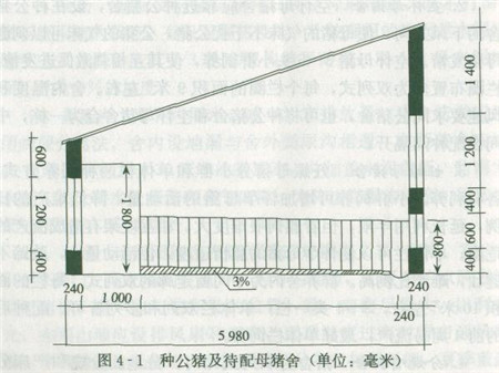关于养猪场的猪舍类型介绍