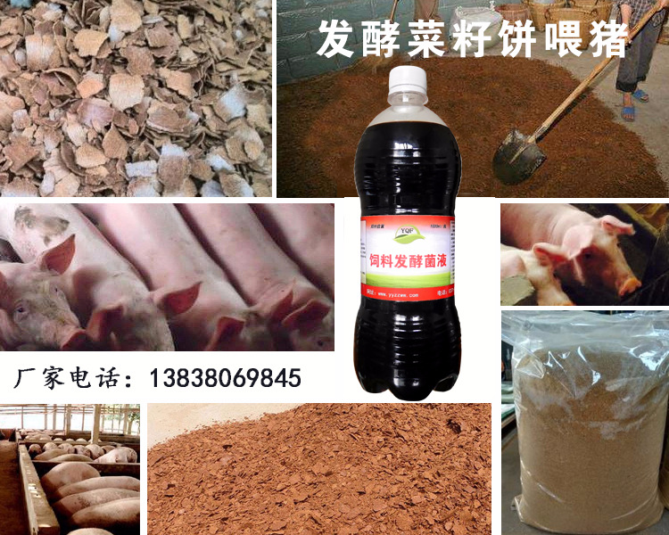 菜籽饼发酵剂功能作用