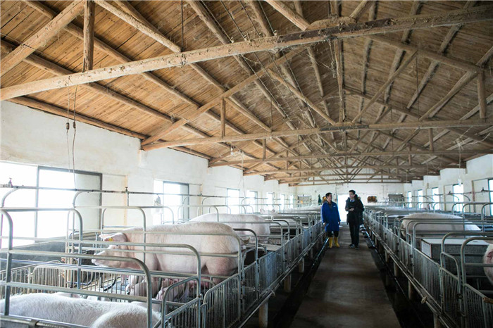 “猪周期”之所以备受关注，很大程度上是因为中国市场对猪肉的消费量高于其他国家市场 
