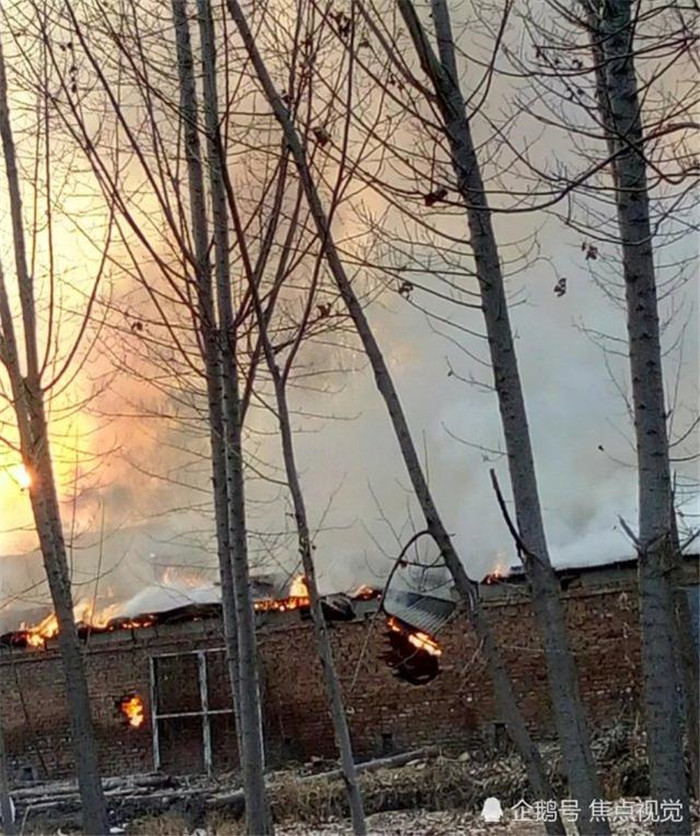 1月19日下午，邯郸市肥乡区李庄村附近一乡村养猪场发生火灾。猪场被烧着后,火势越来越大,冒出滚滚浓烟，猪场里的猪被烧得嗷嗷叫。