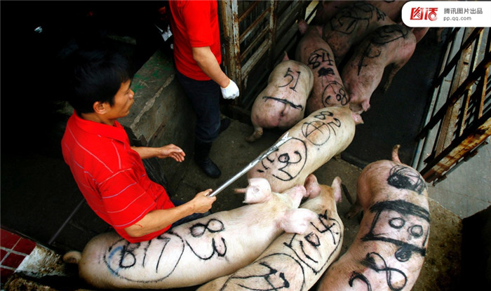 图为2009年4月2日，广州天河生猪市场因“瘦肉精”事件被责令停业整顿10天。 