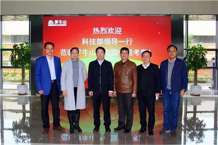 企业要闻