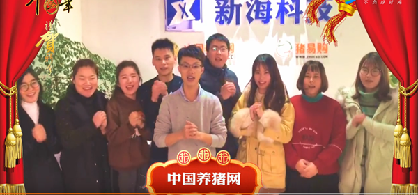 新年到！中国养猪网全体员工祝大家2018旺旺旺！