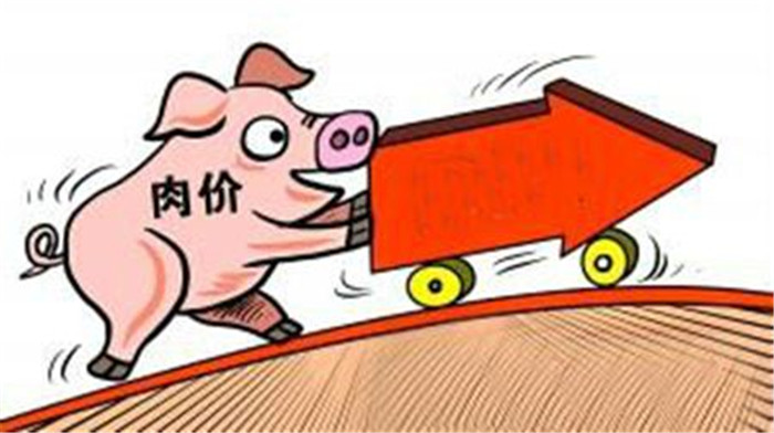 生猪价格持续走低，而猪肉价格却只高不下，这是政府调控还是市场调控。 
