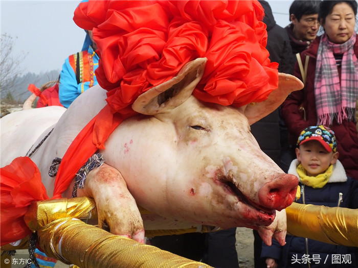落步埫村，第三届年猪文化节开幕。 