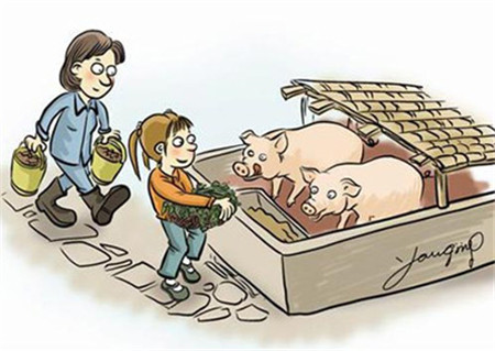 调节饲料营养可以有效降低猪群疾病的发生？