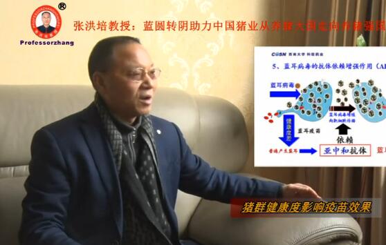 科信药业董事长张洪培先生的个人专访