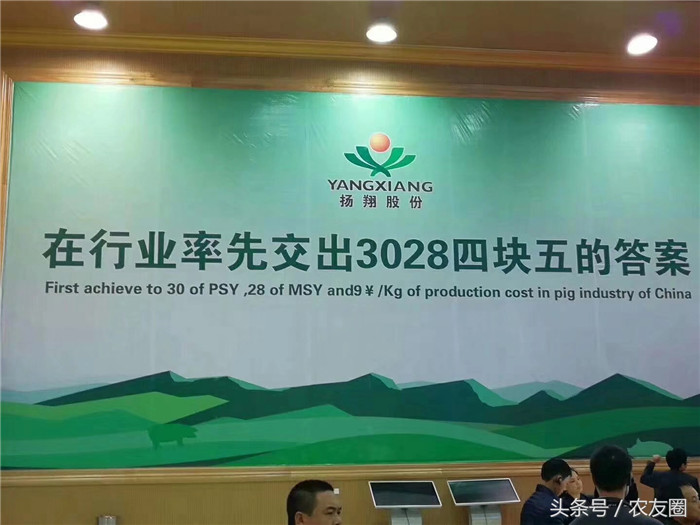 杨翔公司，国内知名的养猪企业。也是广西地区最牛的饲料公司和养殖公司。 
