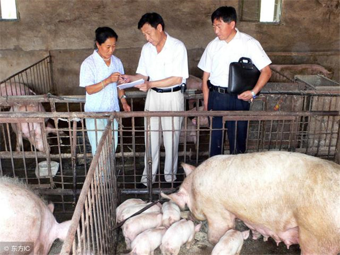 2018年，养猪业大环境吃紧，想要在养猪业中寻求发展，实现自己的养猪利润目标值，养猪人手中必须掌握一份成熟的养猪“攻略”，且看小编为大家慢慢道来：