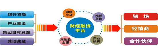 双胞胎集团李建宁:专业分工筑未来 平台共享得双赢
