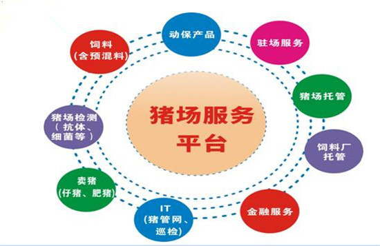 双胞胎集团李建宁:专业分工筑未来 平台共享得双赢