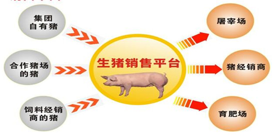 双胞胎集团李建宁:专业分工筑未来 平台共享得双赢