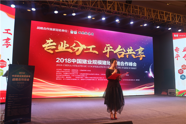 “专业分工、平台共享”——2018中国猪业规模猪场战略合作峰会会议现场