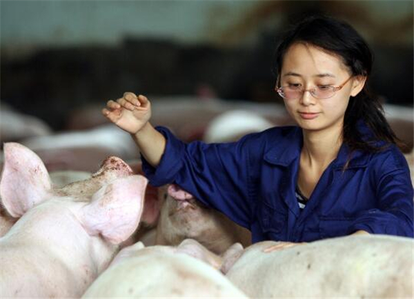 4、“陈娟真是爱猪如命，要是她知道哪头猪病了，不吃食了，她自己也会跟着吃不下饭的。”傅珍检说。