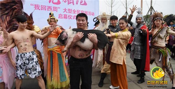 2、数千名游客身着各路神仙服饰，在宁乡花猪领跑下，参与了一场趣味横生的穿越“光猪跑”