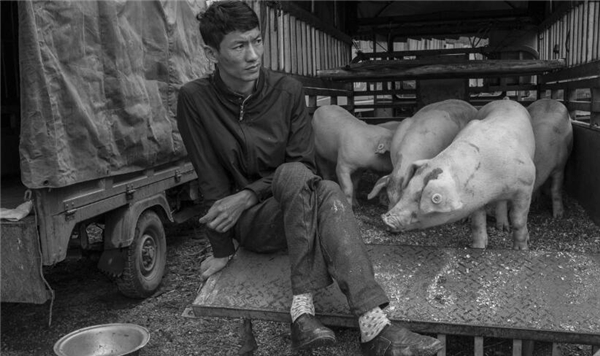 黔西南兴义市底层市民生活黑白摄影欣赏——生猪买卖