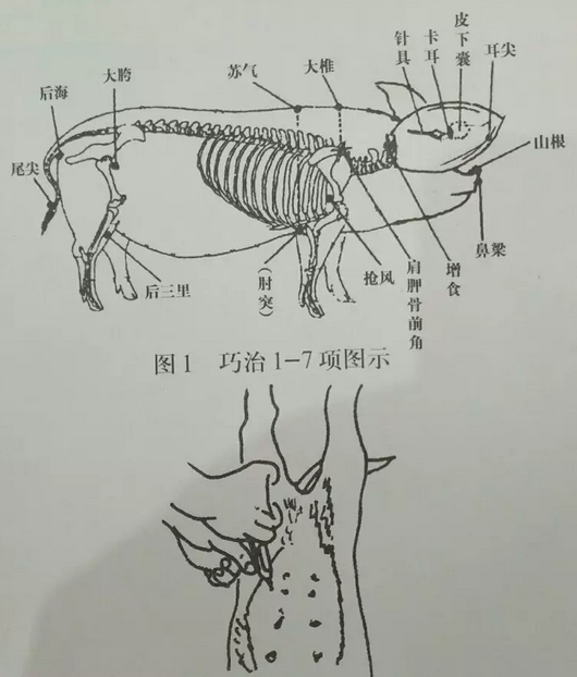 格得药业